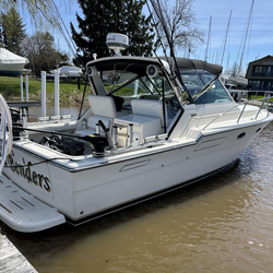 Fish on, Lake Ontario style!